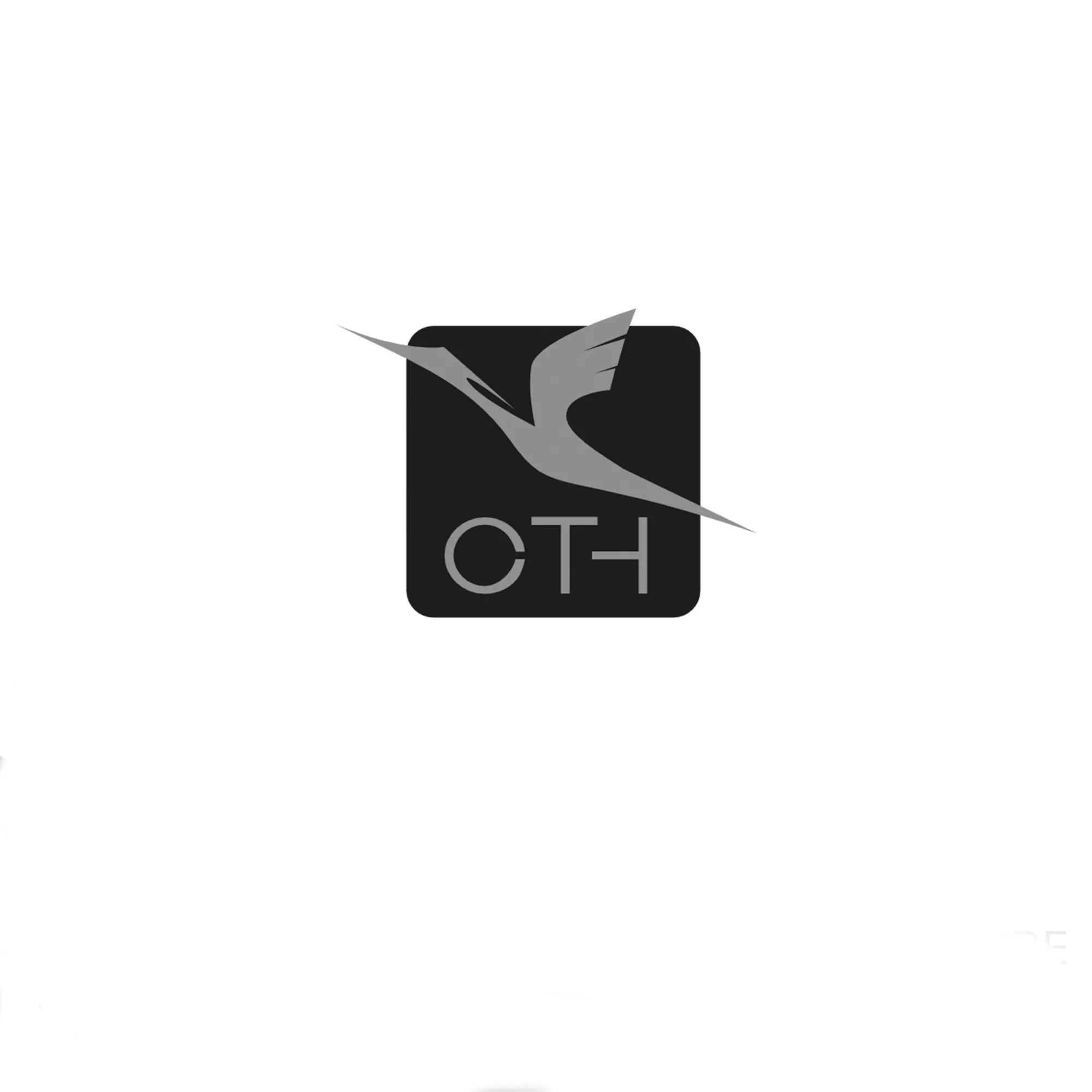 CTH Corp CTH Corp